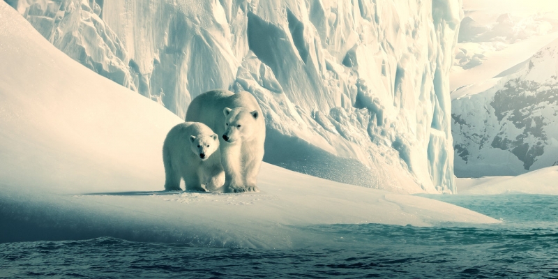 Netflix rilascia documentari a scopo didattico