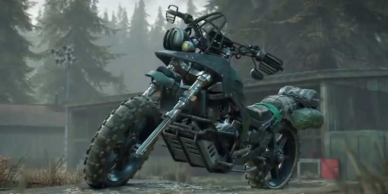 Un anno di Days Gone